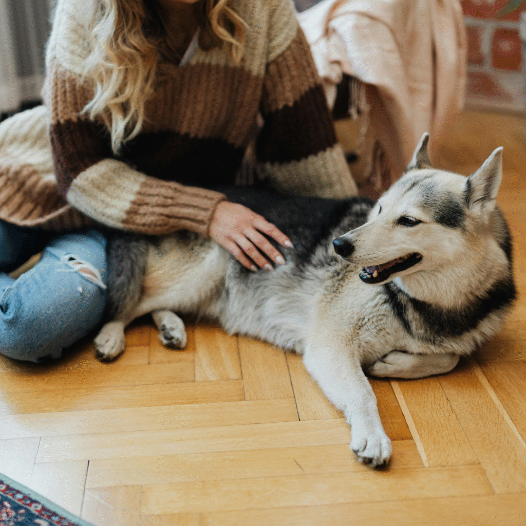 What is the Best Flooring for Pet-Friendly Homes in Eagle and Avon